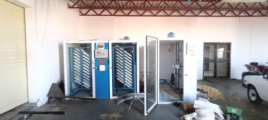 13 Bedroom Property for Sale in Bainsvlei Free State